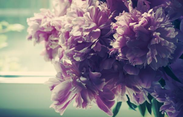 adaye-garz-doasite دعای مجرب برای ادای دین و قرض و گرفتن طلب ها و کسب ثروت دعای مجرب برای ادای دین و قرض و گرفتن طلب ها و کسب ثروت قویترین دعای ثروت و مال طلسم مخصوص جلب ثروت طلسم ادای دین و قرض دعای مجرب ثروت دعای مجرب برای اداین دین و قرض دعای مجرب برای ادای دین و قرض و گرفتن طلب ها و کسب ثروت دعای گرفتن طلب ها دعای کسب پول و ثروت دعای سریع الاجابه بدست آوردن ثروت فراوان بهترین دعای ادای قرض فوری
