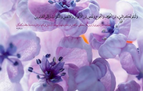 badkholgi-doasite ذکر مجرب جهت رفع بدخلقی فرد - ذکر برای بیقرار کردن در عشق و محبت ذکر مجرب جهت رفع بدخلقی فرد - ذکر برای بیقرار کردن در عشق و محبت ذکر مجرب مخصوص بیقرار کردن در عشق ذکر مجرب جهت رفع بدخلقی فرد - ذکر برای بیقرار کردن در عشق و محبت ذکر مجرب برای افزایش محبت شخص ذکر قرانی جهت رفع بدخلقی فرد ذکر سریع الاجابه برای رفع بداخلاقی فرد در خانه