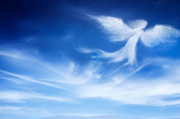 angels-doasite نحوه درخواست کمک از فرشته های نگهبان - ارتباط با فرشتگان نگهبان نحوه درخواست کمک از فرشته های نگهبان - ارتباط با فرشتگان نگهبان یاری گرفتن از فرشته های نگهبان نحوه درخواست کمک از فرشته های نگهبان - ارتباط با فرشتگان نگهبان نحوه برقراری ارتباط با فرشتگان نگهبان کمک خواستن از فرشته های نگهبان کمک خواستن از فرشتگان نگهبان فرشته نگهبان درخواست هدایت و راهنمایی از فرشته نگهبان درخواست مراقبت و محافظ از فرشته نگهبان درخواست پول از فرشته نگهبان چگونه با فرشتگان ارتباط برقرار کنیم ؟ چگونگی کمک خواستن از فرشته های نگهبان