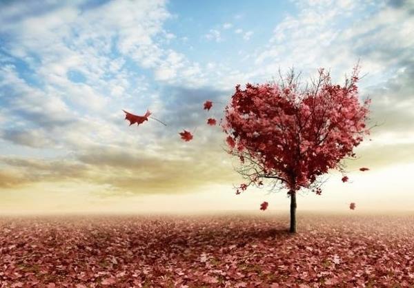 mohabbat-doasite-1 دعای افزایش عشق و محبت بین زن و مرد - دعای محبت زوجین دعای افزایش عشق و محبت بین زن و مرد - دعای محبت زوجین طلسم مودت زن و مرد طلسم مهر و علاقه زن و شوهر طلسم محبت زن و مرد طلسم قوی برای زیاد شدن عشق زوجین دعای قرآنی جهت افزایش محبت و عشق زوجین دعای عشق و محبت زن و شوهر دعای افزایش محبت زوجین دعای افزایش عشق و محبت بین زن و مرد - دعای محبت زوجین