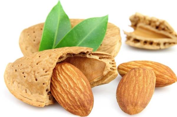 badam-tabir-doasite تعبیر خواب درخت بادام - خوردن مغز بادام در خواب چه تعبیری دارد تعبیر خواب درخت بادام - خوردن مغز بادام در خواب چه تعبیری دارد معنی و مفهوم بادام در خواب و رویا دیدن بادام در خواب نشانه چیست تعبیر خواب درخت بادام - خوردن مغز بادام در خواب چه تعبیری دارد تعبیر خواب بادام و فندق و پسته تعبیر خواب بادام هندی تعبیر خواب بادام کوهی تعبیر خواب بادام زمینی تعبیر خواب بادام برای زن باردار 'تعبیر خواب خوردن مغز و هسته بادام