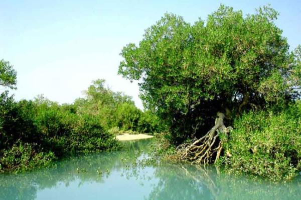 mohebat-doasite333 دعای مجرب برای افزایش عشق شوهر به زن تا لحظه مرگ و رفع سردی بین زن و شوهر دعای مجرب برای افزایش عشق شوهر به زن تا لحظه مرگ و رفع سردی بین زن و شوهر دعای مجرب برای محبت زن و شوهر دعای مجرب برای افزایش عشق شوهر به زن تا لحظه مرگ و رفع سردی بین زن و شوهر دعای سریع الاجابه افزایش عشق شوهر به زن دعای تضمینی و قوی برای بیشتر شدن عشق و محبت شوهر به زن بهترین دعای رفع سردی بین زن و شوهر