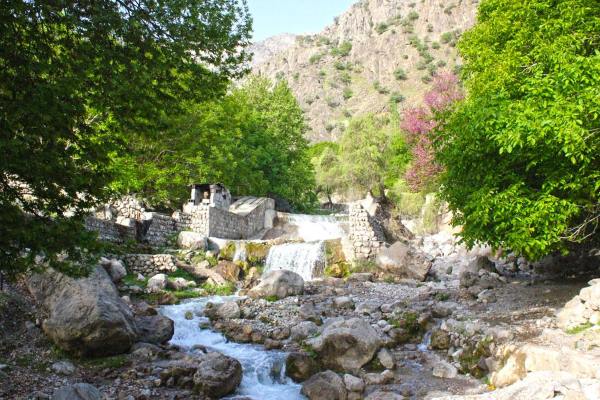 ayat-alkorsi-doasite دستورالعمل دعای آیت الکرسی برای گرفتن حاجت ها فوق العاده مجرب و تضمینی دستورالعمل دعای آیت الکرسی برای گرفتن حاجت ها فوق العاده مجرب و تضمینی دعای مخصوص آیت الکرسی مخصوص روا شدن حاجت دعای قوی و تضمینی آیت الکرسی برای حاجت ها دعای آیت الکرسی برای حاجت گرفتن دستورالعمل دعای آیت الکرسی برای گرفتن حاجت ها فوق العاده مجرب و تضمینی ختم آیت الکرسی مخصوص حاجت
