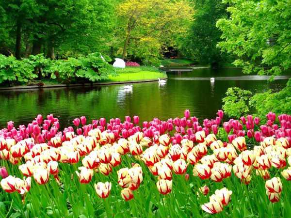 fatehe-doasite خواص سوره حمد (فاتحه الکتاب) برای رسیدن به آرزوها و حاجت و رزق و روزی و عزت خواص سوره حمد (فاتحه الکتاب) برای رسیدن به آرزوها و حاجت و رزق و روزی و عزت سوره حمد برای کسب عزت و احترام زیاد سوره حمد برای رسیدن به آرزوها سوره حمد برای در امان ماندن از بلا و ضررها سوره حمد برای حاجت ها سوره حمد برای افزایش رزق و روزی خواندن سوره فاتحه الکتاب خواص سوره حمد (فاتحه الکتاب) برای رسیدن به آرزوها و حاجت و رزق و روزی و عزت خواص سوره حمد خاصیت سوره حمد اسرار و رازهای نهفته سوره حمد آثار و برکات سوره حمد