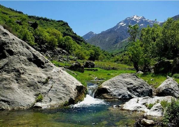 tagib-doasite تعقیب پس از نماز مغرب جهت غنی شدن و افزایش مال و ثروت تعقیب پس از نماز مغرب جهت غنی شدن و افزایش مال و ثروت تعقیبات نماز مغرب جهت حصول ثروت و مال تعقیب نماز مغرب برای زیاد شدن ثروت تعقیب قوی و تضمینی برای غنی شدن از مال دنیا تعقیب قوی بعد نماز مخصوص غنی شدن تعقیب پس از نماز مغرب جهت غنی شدن و افزایش مال و ثروت تعقیب پس از نماز جهت افزایش رزق و روزی تعقیب پس از خواندن نماز مغرب تعقیب بعد نماز