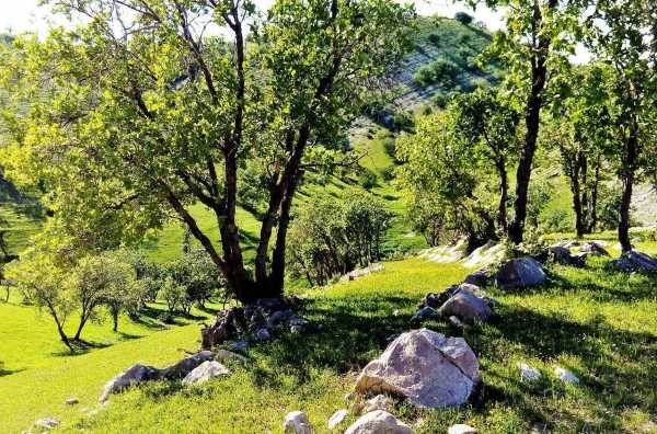 fagr-doasite دستورالعمل مجرب برای رفع فقر و تنگدستی دستورالعمل مجرب برای رفع فقر و تنگدستی طلسم مخصوص رفع بی پولی و بدبختی طلسم مجرب مخصوص از بین رفتن فقر و تنگدستی طلسم رهایی از فقر طلسم تضمینی برای زیاد شدن پول و ثروت طلسم برای افزایش رزق و روزی ذکر و دعای نجات از فقر ذکر و دعای رفع فقر دعای قرآنی برای رفع سریع و فوری فقر دعای سریع الاجابه نجات از بی پولی و نداری دستورالعمل مجرب برای رفع فقر و تنگدستی دستورالعمل تضمینی مخصوص رهایی از فقر بهترین دستورالعمل رفع تنگدستی