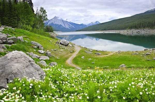 zaman-doasite بهترین زمان برای استجابت دعا و طلب حاجت چه زمانی است بهترین زمان برای استجابت دعا و طلب حاجت چه زمانی است گرفتن حاجت بعد از نماز صبح زمان مناسب برای استجابت دعا چه زمانی دعا استجابت می شود بهترین زمان برای طلب حاجت بهترین زمان برای استجابت دعا و طلب حاجت چه زمانی است بهترین زمان استجابت دعا استجابت دعا پس از طلوع فجر