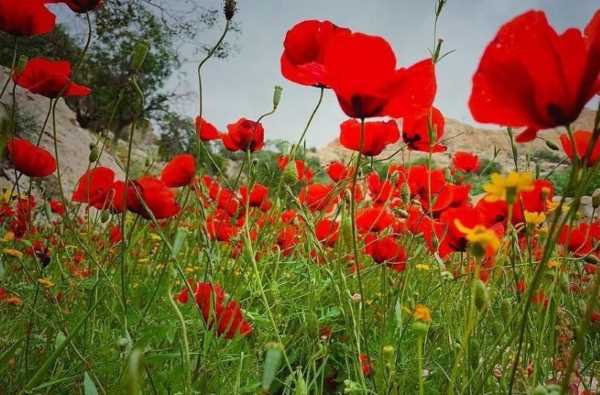 دعای-مجرب-برای-صلح-زن-و-شوهر-و-زندگی-در-خیر-و-خوشی دعای مجرب برای صلح زن و شوهر و زندگی در خیر و خوشی دعای مجرب برای صلح زن و شوهر و زندگی در خیر و خوشی دعای محبت و آشتی زن و شوهر دعای مجرب برای صلح زن و شوهر و زندگی در خیر و خوشی دعای قوی و مجرب خیر و خوشی در زندگی دعای قرآنی رفع کدورت و ایجاد آشتی در زندگی دعای سریع الاجابه جهت صلح زن و شوهر دعای تضمینی صلح و آشتی زن و شوهر