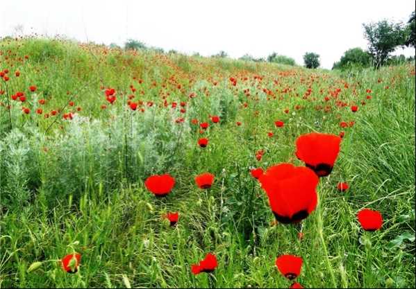 دعای-مجرب-طول-عمر-و-سلامتی-و-پریشانی-دشمنان-و-خوشحالی-خود-و-دوستان دعای مجرب طول عمر و سلامتی و پریشانی دشمنان و خوشحالی خود و دوستان دعای مجرب طول عمر و سلامتی و پریشانی دشمنان و خوشحالی خود و دوستان دعای ناراحتی و پریشانی دشمنان دعای مجرب طول عمر و سلامتی و پریشانی دشمنان و خوشحالی خود و دوستان دعای مجرب سلامتی دعای طول عمر دعای شادی و خوشحالی خود دعای شادی دوستان و خود دعای پریشانی دشمنان بهترین دعای طول عمر