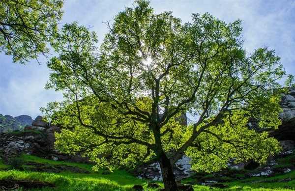 سوره-قرآنی-تضمینی-برای-بهبود-وضعیت-مالی سوره قرآنی تضمینی برای بهبود وضعیت مالی سوره قرآنی تضمینی برای بهبود وضعیت مالی سوره مجرب برای رزق و روزی سوره قرآنی تضمینی برای بهبود وضعیت مالی سوره سریع الاجابه جهت خوب شدن وضعیت مالی سوره تضمینی بهبود وضعیت مالی بهترین سوره قرآنی جهت رزق و روزی