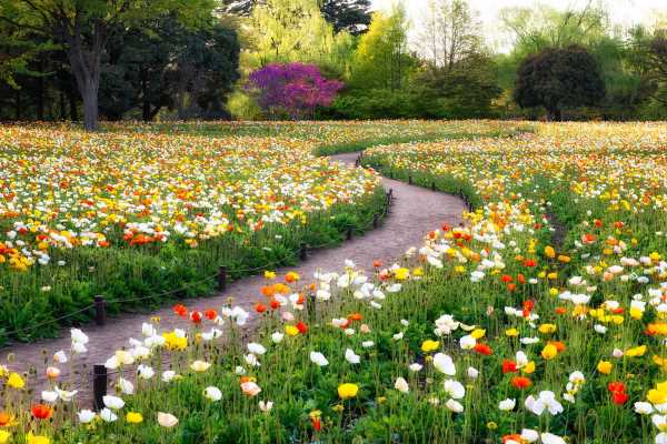 آیا-عجله-داشتن-در-اجابت-دعا-مانعی-برای-استجابت-دعا-است-؟ آیا عجله داشتن در اجابت دعا مانعی برای استجابت دعا است ؟ آیا عجله داشتن در اجابت دعا مانعی برای استجابت دعا است ؟ نداشتن صبر و تحمل مانع استجابت دعا عجله و عدم شکیبایی در اجابت دعا عجله داشتن در اجابت دعا صبر و تحمل برای اجابت دعا بی تابی در اجابت دعا آیا عجله داشتن در اجابت دعا مانعی برای استجابت دعا است ؟