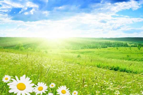 از-چه-دعایی-برای-ازدواج-حاجت-گرفتید-نذرهایی-که-حاجت-ازدواج-گرفتید از چه دعایی برای ازدواج حاجت گرفتید - نذرهایی که حاجت ازدواج گرفتید از چه دعایی برای ازدواج حاجت گرفتید - نذرهایی که حاجت ازدواج گرفتید نذرهایی برای ازدواج نذر برای ازدواج کردن ذکر و دعای ازدواج و حاجت دعایی که برای ازدواج مجرب است دعایی برای ازدواج حاجت دعایی برای ازدواج بهترین دعای حاجت ازدواج از چه دعایی برای ازدواج حاجت گرفتید - نذرهایی که حاجت ازدواج گرفتید