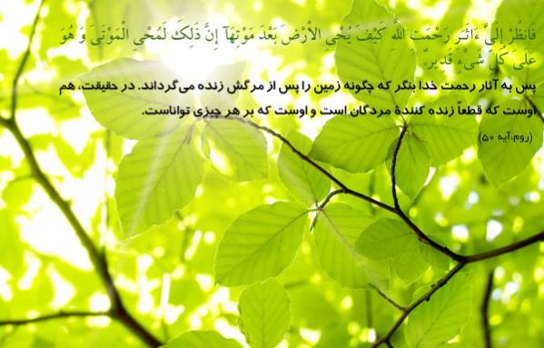 دستورالعمل-مجرب-دفع-سحر-و-جن-استاد-شیخ-سند دستورات استاد شیخ سند برای دفع سحر و جن دستورات استاد شیخ سند برای دفع سحر و جن دستورالعمل مجرب برای دفع سحر و جن و شیطان دستورات مجرب برای دفع سحر و جن دستورات قرانی جهت دفع سحر و جادو و طلسم دستورات تضمینی دفع اجنه و سحر و جادو دستورات استاد شیخ سند برای دفع سحر و جن دستور قوی و فوری برای از بین بردن سحر و جن