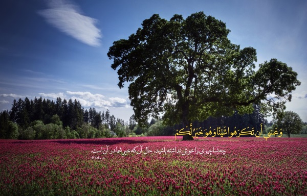 دعای-اجاره-رفتن-منزل-آپارتمان-دعا-برای-زود-اجاره-دادن-مغازه-و-خانه دعای اجاره رفتن منزل آپارتمان - دعا برای زود اجاره دادن مغازه و خانه دعای اجاره رفتن منزل آپارتمان - دعا برای زود اجاره دادن مغازه و خانه دعای مخصوص اجاره سریع مغازه و فروشگاه دعای قرانی اجاره گرفتن خانه و مغازه دعای اجازه رفتن فوری مغازه دعای اجاره رفتن منزل آپارتمان - دعا برای زود اجاره دادن مغازه و خانه دعای اجاره دادن منزل و خانه دعای اجاره دادن مغازه دعای اجاره دادن آپارتمان دعا برای پیدا شدن خانه اجاره ای