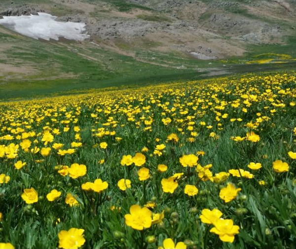 دعای جادویی پیامبر به حضرت فاطمه برای رفع مشکلات و گرفتن حاجت متن دعای جادویی پیامبر دعای گشایش کار از پیامبر دعای گرفتن حاجت از پیامبر به حضرت فاطمه دعای رفع مشکلات از پیامبر دعای رزق و روزی پیامبر اکرم دعای رزق و روزی پیامبر دعای حضرت محمد برای رزق روزی دعای حضرت محمد برای اهل بیتش دعای جادویی پیامبر به حضرت فاطمه برای رفع مشکلات و گرفتن حاجت دعای پیامبران عکس دعای پیامبران در قرآن مجید دعای پیامبران در قرآن دعای پیامبران برای ازدواج دعای پیامبران اولوالعزم دعای پیامبران الهی دعای پیامبران دعای پیامبر در شب عروسی دعای پیامبر در روز عید غدیر خم دعای پیامبر در روز عید غدیر چه بود کلاس پنجم دعای پیامبر در روز عید غدیر دعای پیامبر در حق اهل بیت خود چه بود دعای پیامبر برای گشایش کار به حضرت فاطمه دعای پیامبر برای شفای مریض اهل سنت دعای پیامبر برای شفای مریض دعای پیامبر برای شفای بیماران دعای پیامبر برای شفای بیمار دعای پیامبر برای رزق و روزی دعای پیامبر برای دفع جن دعای پیامبر برای حاجت به حضرت فاطمه دعای پیامبر برای ثروتمند شدن دعای پیامبر برای اهل بیتش چه بود دعای پیامبر برای اهل بیت کلاس دوم دعای پیامبر برای اهل بیت خود چه بود کلاس دوم دعای پیامبر برای اهل بیت خود چه بود دعای پیامبر برای اهل بیت خود دعای پیامبر برای اهل بیت چه بود دعای پیامبر برای اهل بیت دعای پیامبر دعای پیامبر برای اهل بیت دعاهای پیامبران در قرآن دعاهای پیامبران دعا پیامبران   